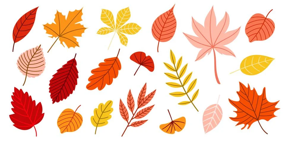 Colorful autumn leaf set vector illustration イラスト素材