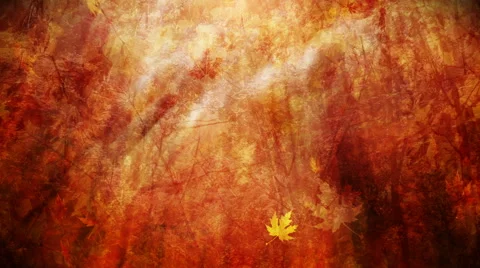 Colorful autumn leaves background loop Stock Footage 54793704