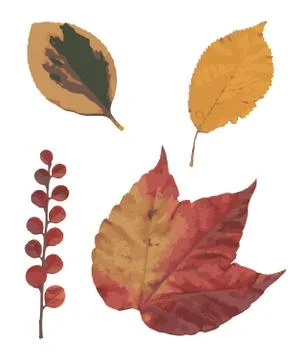 Colorful Autumn Leaves Stock Illustration