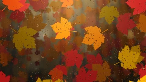 Colorful autumn maple leaves fall gently behind a wet window pane in this cozy Stock Footage 345375714