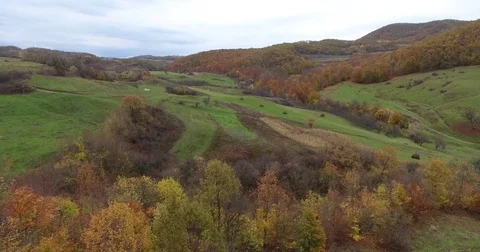 Colorful autumn trees Stock Footage 82007154