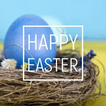 Colorful background with Easter eggs background. Happy Easter concept. Can be Stock Photos