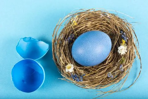 Colorful background with Easter eggs on blue background. Happy Easter concept Stock Photos