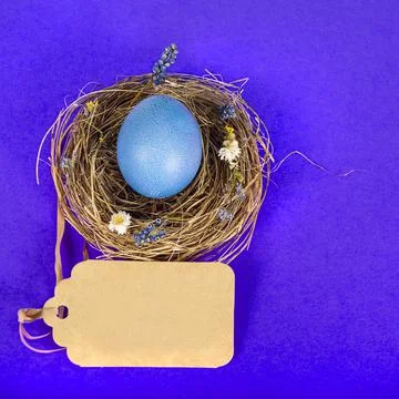 Colorful background with Easter eggs on blue background. Happy Easter concept Stock Photos