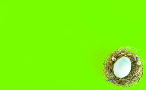 Colorful background with Easter eggs on green background. Happy Easter concep Stock Photos