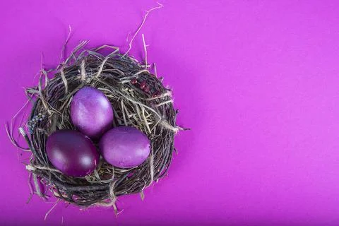 Colorful background with Easter eggs on lavender background. Happy Easter con Stock Photos