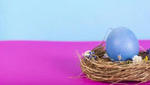 Colorful background with Easter eggs on pink and blue background. Happy Easte Stock Photos