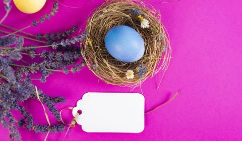 Colorful background with Easter eggs on pink background. Happy Easter concept Stock Photos