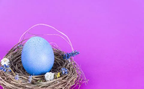 Colorful background with Easter eggs on pink background. Happy Easter concept Stock Photos