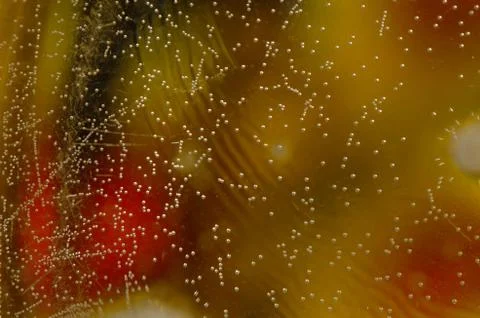 Colorful background Stock Photos