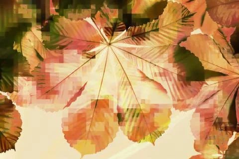 Colorful background Stock Photos