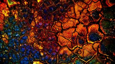 Colorful background Stock Photos