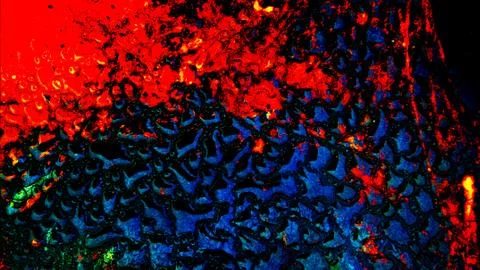 Colorful background Foto stock