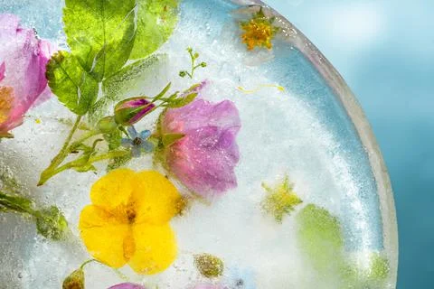 Colorful background of summer flowers and roses in frozen water with bubbles Stock Photos