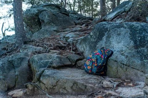 Colorful backpack put on rocks in a forest Stock Photos