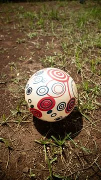 Colorful ball with circle patterns on ground grass field 스톡 사진