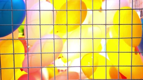 Colorful balloon. Stock Footage 91381543
