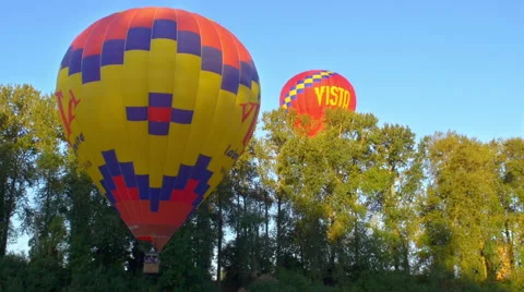 Colorful balloons float around trees Stock Footage 56460947