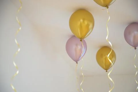 Colorful balloons float on a white ceiling, tied with golden ribbons Stock Photos
