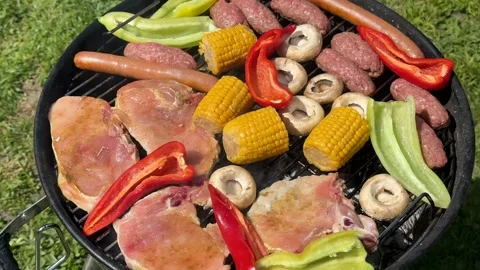 Colorful Barbecue Grill Stock Footage 310494183