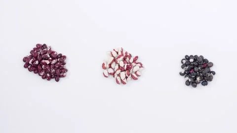 Colorful beans in three piles Stockbeeldmateriaal 237497752