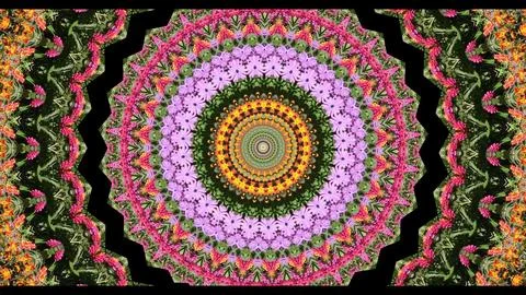 Colorful, beautiful patterns move rhythmically Stock Illustration