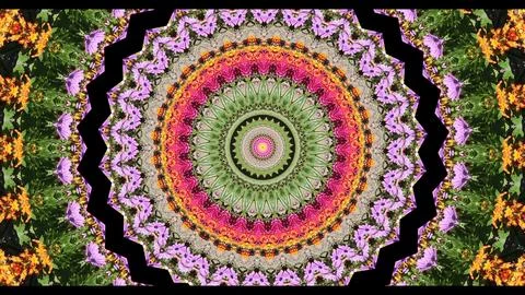 Colorful, beautiful patterns move rhythmically Stock Illustration