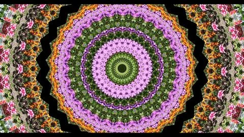 Colorful, beautiful patterns move rhythmically Stock Illustration