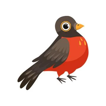 Colorful beautiful robin bird vector Illustration on a white background Stock Illustration