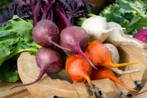 Colorful beets Stock Photos