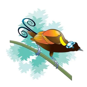 Colorful bird Stock Illustration