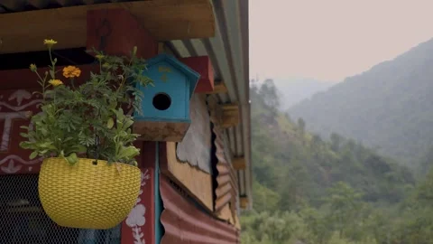 Colorful Birdhouse on Rustic Mountain Cabin Stock Footage 336532063