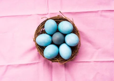 Colorful blue boiled easter eggs in nest on pink Stock Photos