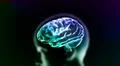 colorful blue brain in head Illustration