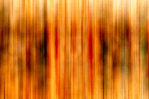Colorful blur background. Stock Illustration