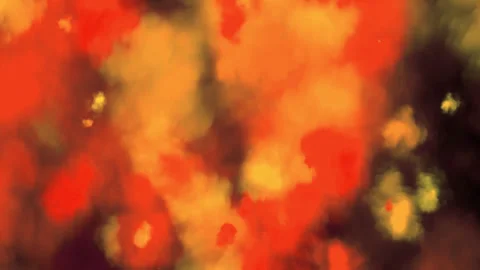 Colorful bokeh of exploding spots Stock Footage 285317373