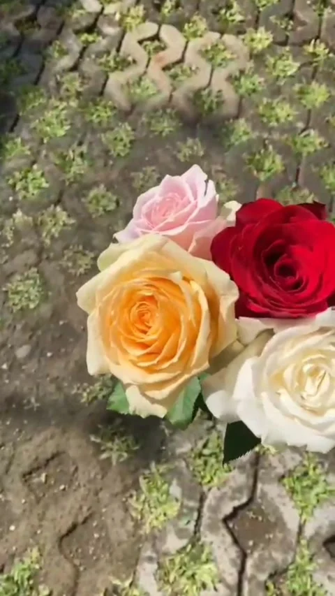 Colorful bouquet Stock Footage 312891308