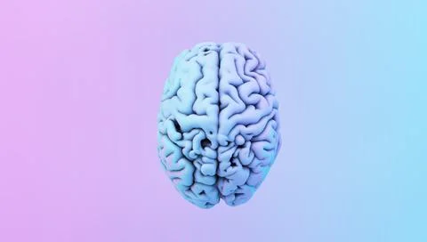 Colorful brain Stock Illustration