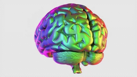 Colorful brain rotating - 3d render looped with alpha channel. Stock Footage 167510539