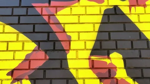Colorful brick wall as background, texture. Stock Footage 279270026
