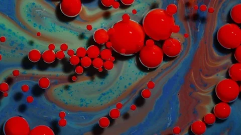 Colorful bubbles of paint. Stock Footage 81072334