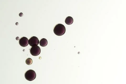 Colorful bubbles Stock Photos