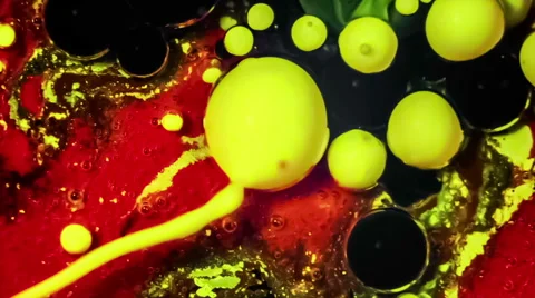 Colorful Bubbles In Water. Stock Footage 49484622