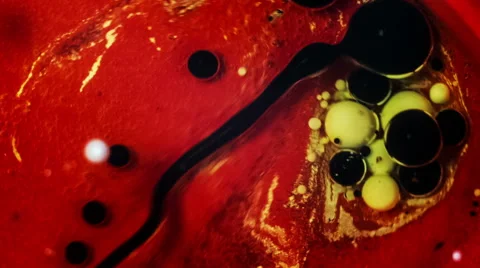 Colorful Bubbles In Water.Macro Stockbeeldmateriaal 49484311