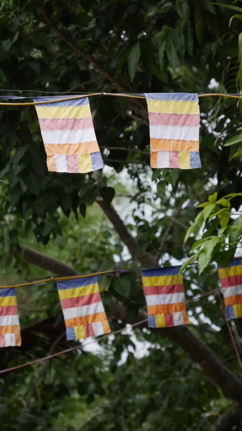 Colorful buddhist flags waving on strings among green trees in the wind. Sacred 库存影片 344627156