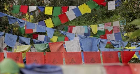 Colorful Buddhist Prayer Flags At Temple In The Dharamsala, India Stock Footage 96538515