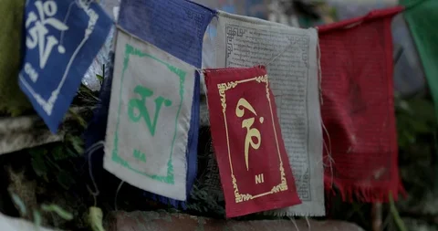 Colorful Buddhist Prayer Flags At Temple In The Dharamsala, India Stock Footage 96545570