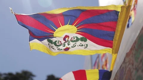 Colorful Buddhist Prayer Flags At Temple In The Dharamsala, India Stock Footage 96546991