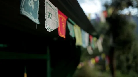 Colorful Buddhist Prayer Flags At Temple In The Dharamsala, India Stock Footage 96547052
