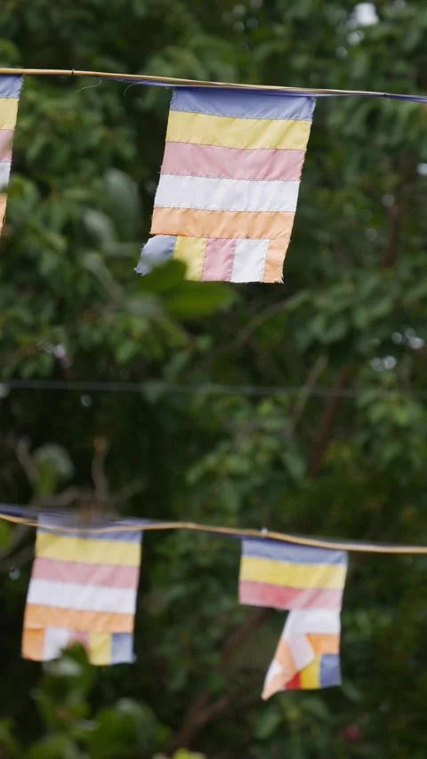 Colorful buddhist prayer flags waving on a line with blurred green trees in the 스톡 동영상 341806735